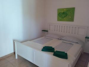 扎霍拉芬卡埃斯梅拉达乡村民宿的一张白色的床铺,位于一个绿色的画室