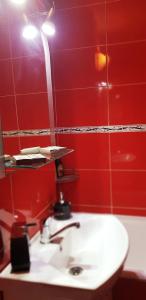 布拉索夫Studio Monique的一间带水槽的浴室和红色墙壁上的灯