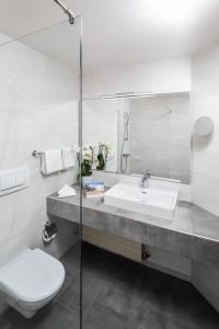 东蒂罗尔地区马特赖鲁特酒店的一间带水槽、卫生间和镜子的浴室