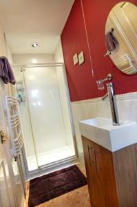 诺里奇Wayside B&B的带淋浴、盥洗盆和镜子的浴室