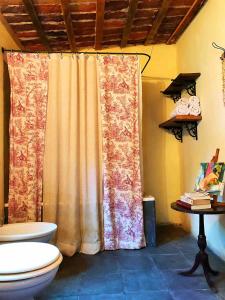 洛博斯Centro Ecuestre Frasco Chico的一间带卫生间和淋浴帘的浴室