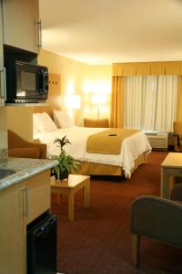 萨尔蒂约萨尔蒂约佐纳航空港智选假日酒店的酒店客房设有一张大床和一个厨房。