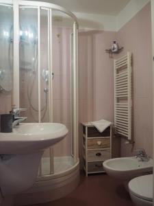 热那亚Amba Alagi Apartment的一间带水槽和淋浴的浴室