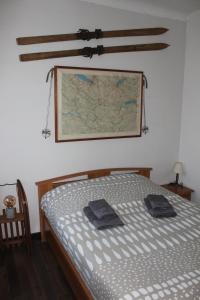 夏蒙尼-勃朗峰Appartement Le Savoisien的卧室配有一张床,墙上有地图