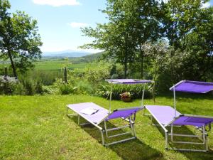 穆尔洛Villa Righino的草地上设有两把躺椅和一张桌子