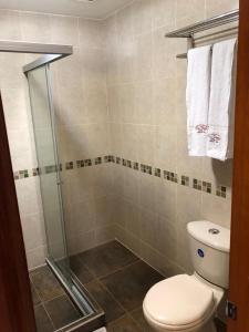 图马科Colon Plaza Hotel的浴室设有卫生间和带毛巾的淋浴。