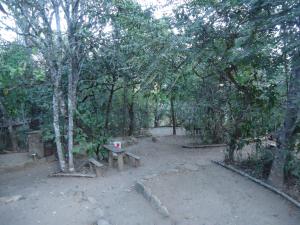戈亚斯州上帕莱索Camping Terra do Nunca的森林中间的野餐桌