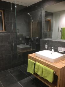 萨姆瑙恩Suot Crapalb的一间带水槽和淋浴的浴室