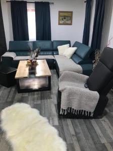 莫克拉戈拉Planinski biser Mokra Gora的带沙发和咖啡桌的客厅