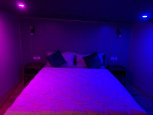 鲁贝Diane Luxury 2的一间卧室配有一张紫色照明的大床