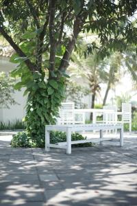 马格朗Sevilla Resort Magelang的坐在树前的白色长凳