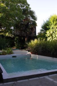 坦迪尔Allegra Dalila Casa Hotel-Arte的花园中的一个游泳池