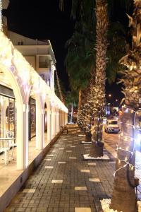 安塔利亚Sealife Lounge - Adult only的一条种有棕榈树和圣诞灯的路边小径