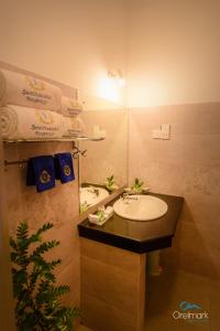 阿维瑟韦勒西塔瓦卡摄政酒店的一间带水槽和镜子的浴室