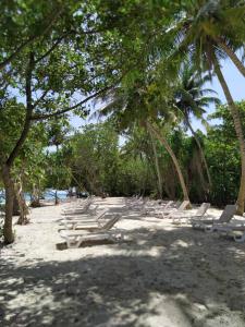 拉斯杜拉斯杜环礁蓝水旅馆的海滩上一群躺椅和棕榈树