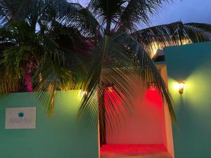 拉斯杜拉斯杜环礁蓝水旅馆的一座灯火通明的建筑前的棕榈树