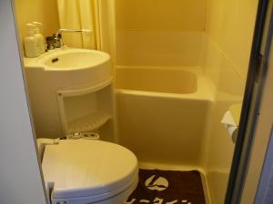 松江市松江城市湖滨酒店的一间带卫生间和水槽的小浴室