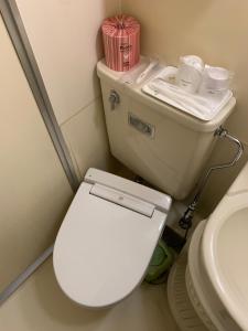 松江市松江城市湖滨酒店的浴室配有白色卫生间和盥洗盆。
