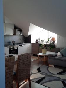 比克Kamilla Apartman Villapark的厨房以及带沙发和桌子的客厅。
