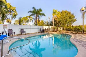 杰克逊维尔杰克逊维尔司丽普酒店的一个带椅子的游泳池、围栏和棕榈树