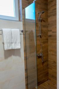 索科矿泉村Apartman Tuscany的浴室里设有玻璃门淋浴