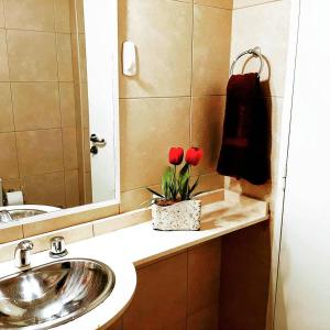 罗萨里奥Catamarca Río的一间带水槽和两朵红玫瑰的浴室