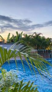 珍南海滩Norshah Village Resort的享有棕榈树游泳池的景色