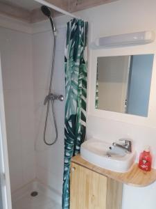 里夫杜海滩Le Clos des Pins的一间带水槽、镜子和淋浴的浴室