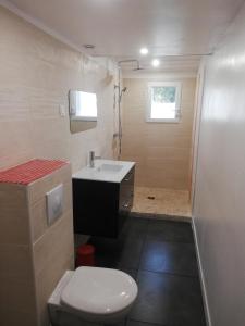 里夫杜海滩Le Clos des Pins的一间带卫生间和水槽的小浴室
