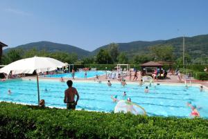 阿梅利亚Casetta nel verde的一座大型游泳池,里面设有人员