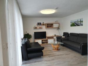 巴特申博恩维克利萨公寓的带沙发和电视的客厅