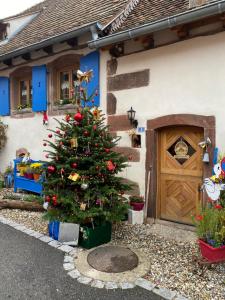 HengwillerLe Nid de Cigognes的房子前面的圣诞树