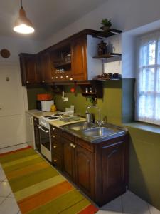 雷夫菲勒普Sirály Apartman的一个带木制橱柜和水槽的厨房