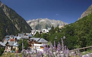 莱德萨阿尔卑斯VENOSC Le Haut de la Grange的山中的一个村庄,花紫色