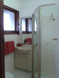 卧龙岗爱索诺汽车旅馆的一间带水槽和淋浴的浴室