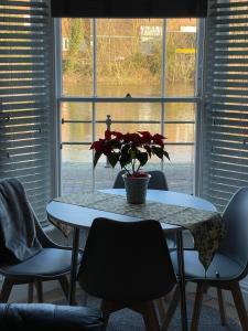 布由德利Belle View cottage的窗前的桌子上放着盆栽植物