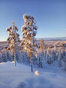 冬天的Mysig lägenhet med fjällutsikt i Sälen