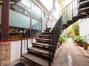 埃希哈Hostal Santiago的植物建筑外的一套楼梯