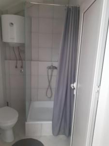 沙巴茨Veliki Park的带淋浴帘和卫生间的浴室