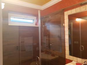 奥斯特拉维采Ostravice Apartment的带淋浴的浴室和玻璃门