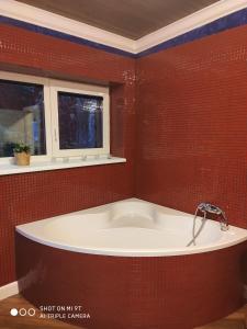 奥斯特拉维采Ostravice Apartment的带浴缸的红色瓷砖浴室