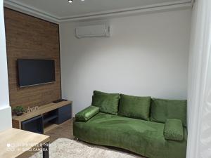 兹拉蒂博尔Apartments Breza的客厅里设有一张绿色沙发,配有电视