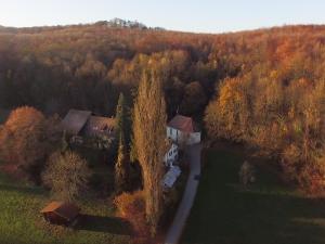 LeymenChambres d'hotes Coeur de Sundgau的森林中房屋的空中景观