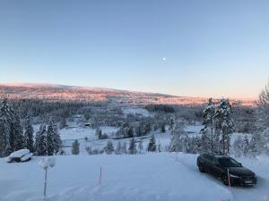 萨伦Utsikten i Sälens by的停在山上的雪地里的汽车