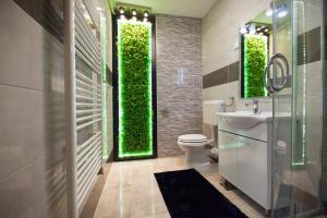 奥西耶克Apartman Aurelius - private parking的一间带卫生间和绿色墙壁的浴室