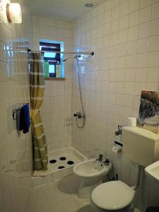 奥比多斯Óbidos - Casa do Castelo的浴室配有卫生间、淋浴和盥洗盆。