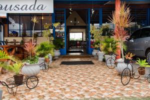 圣若昂-德雷Pousada Trilha da Serra的一间储藏着一堆盆栽植物的商店