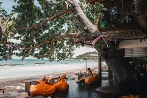 涛岛Sairee Hut Resort Koh Tao的坐在海滩旁的树下的一个女人