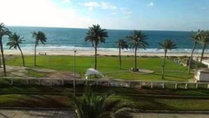 阿里什Retac El Arish的享有棕榈树海滩和大海的景色