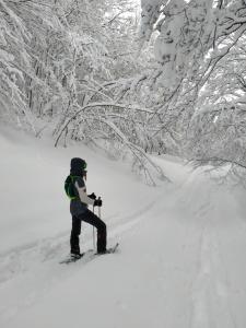 菲乌马尔博Hotel Bristol的滑雪者在树旁的雪中